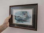 Vintage natuurillustratie met klassieke lijst, Ophalen of Verzenden, Minder dan 50 cm, Schilderij, Minder dan 50 cm