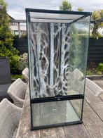 Exo Terra Glass Terrarium 45x45cm hoogte 90cm, Dieren en Toebehoren, Terrarium of Paludarium, Zo goed als nieuw, Ophalen