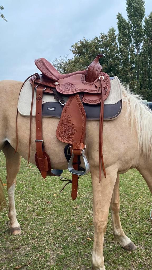 Edix Django Westernzadel, Dieren en Toebehoren, Paarden en Pony's | Zadels, Gebruikt, Western, Ophalen