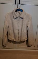 HET bekende winterjasje van Zeeman mt 36, Zeeman, Beige, Nieuw, Ophalen of Verzenden
