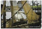 Texel Haven Oudeschild gelopen Ansichtkaart (B2421 ), Verzamelen, Ansichtkaarten | Nederland, Ophalen of Verzenden, 1980 tot heden