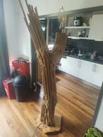 Lamp van cactus geraamte, Ophalen, Gebruikt
