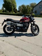Triumph Scrambler Street Scrambler 900, Motoren, 2 cilinders, 900 cc, Particulier, Meer dan 35 kW