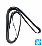 V-RIEM 10PK2475 SCANIA P,G,R,T DAYCO 1920231A, Scania, -, -, Nieuw