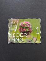 Nederland 2022 beleef de natuur kleine pimpernel, Postzegels en Munten, Postzegels | Nederland, Na 1940, Ophalen of Verzenden