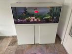 Aquarium te koop, Dieren en Toebehoren, Zo goed als nieuw, Ophalen, Leeg aquarium