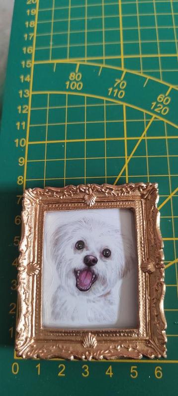 Maltezer puppy hond portret in lijst poppenhuis pph phh 