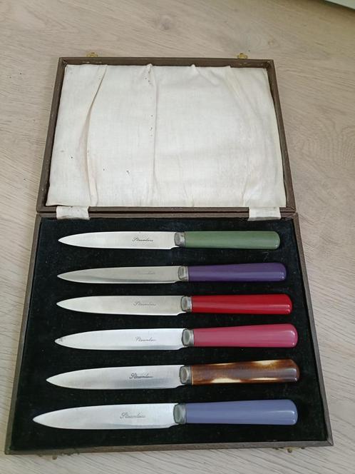 Vintage Botermesjes / Fruitmesjes Set – in Originele doos, Huis en Inrichting, Keuken | Bestek, Gebruikt, Kunststof, Ophalen of Verzenden