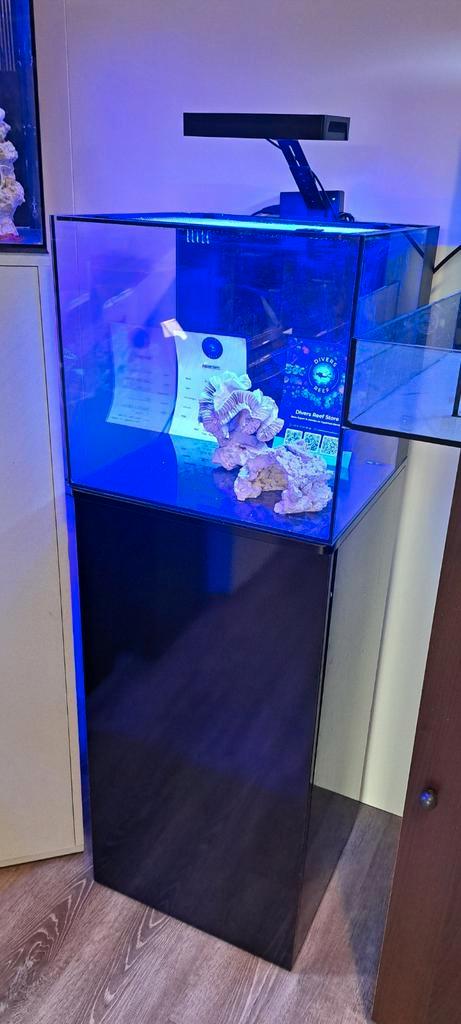 Waterbox qube 20 met div techniek., Dieren en Toebehoren, Vissen | Aquaria en Toebehoren, Zo goed als nieuw, Leeg aquarium, Ophalen