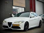 ALFA ROMEO Giulia 2.0 T / Super / Veloce pack / Dna / Stage, Auto's, 745 kg, Euro 6, Wit, 1600 kg