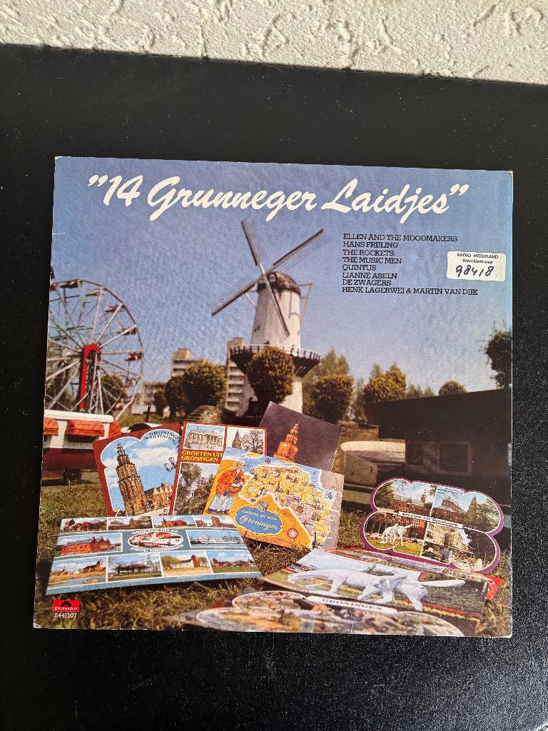 14 Grunneger Laidjes - 1980 - Nederlandse persing, Cd's en Dvd's, Vinyl | Nederlandstalig, Gebruikt, Pop, 12 inch, Ophalen of Verzenden