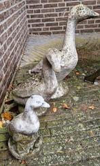 Betonnen ganzen, Tuin en Terras, Ophalen