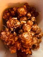 Verse biologische aardpeer, Ophalen of Verzenden