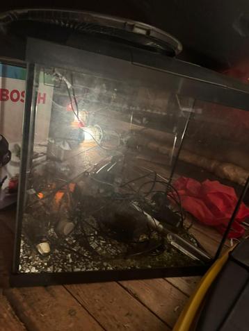 Aquarium compleet beschikbaar voor biedingen