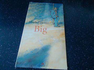 luisterboek ,, big,,, nw 3 cd boek voor 9+ beschikbaar voor biedingen