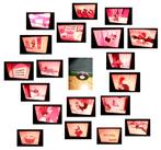 16mm film Walter Lantz Cartoon - Eggnapper - geluid - mooi -, Verzenden, 16mm film