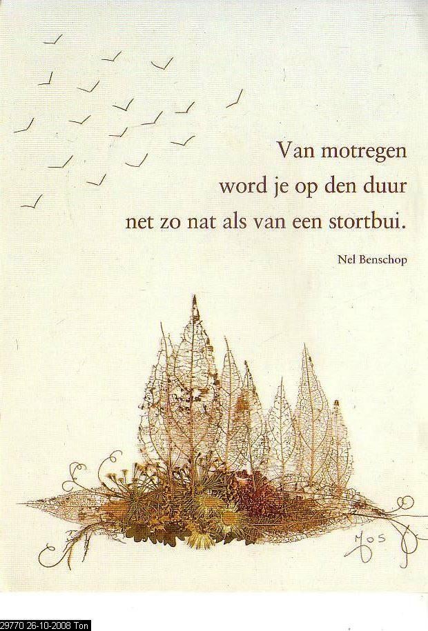 Ansichtkaart	Nel Benschop	Van motregen word je net zo nat, Verzenden, 1960 tot 1980, Ongelopen, Overige thema's