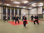 Pencak Silat lessen in Veghel, Sport en Fitness, Vechtsporten en Zelfverdediging, Ophalen