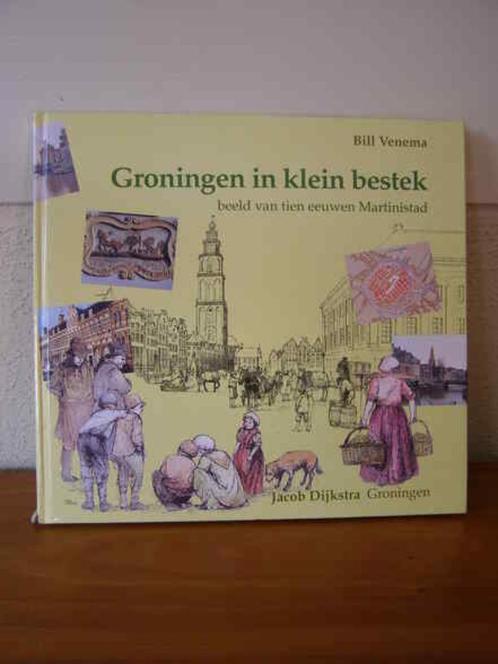 Boek, Groningen in klein bestek, Boeken, Geschiedenis | Stad en Regio, Zo goed als nieuw, 20e eeuw of later, Ophalen of Verzenden