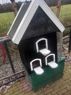 Te.koop nieuwe duiven til, Mannelijk, Postduif