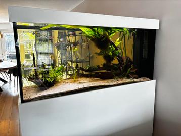 Aquarium 600 liter incl. pomp, verwarming, Co2 &verlichting beschikbaar voor biedingen