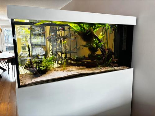 Aquarium 600 liter incl. pomp, verwarming, Co2 &verlichting, Dieren en Toebehoren, Vissen | Aquaria en Toebehoren, Gebruikt, Gevuld zoetwateraquarium