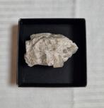 Fluoriet ruw 5,5 cm - Edelsteen - Mineraal, Ophalen of Verzenden, Mineraal