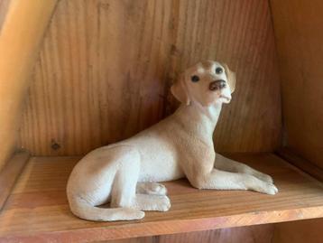 Labrador en Amerikaanse Cocker Spaniël beschikbaar voor biedingen