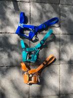 3 halsters mini&shet, Dieren en Toebehoren, Ophalen of Verzenden, Zo goed als nieuw, Overige soorten