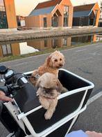 Urban Arrow Shorty performance met belt en 2x 500 wh accu, Ophalen, Zo goed als nieuw