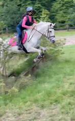 VERZORGER/BIJRIJDER AANGEBODEN  VERZORG/BIJRIJD PONY GEZOCHT, Dieren en Toebehoren, Ophalen of Verzenden