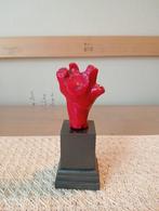 Oud rood koraal uit china, Antiek en Kunst, Curiosa en Brocante, Ophalen of Verzenden