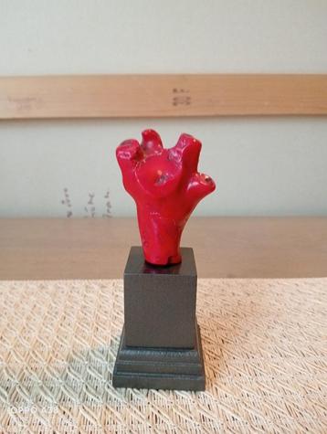 Oud rood koraal uit china beschikbaar voor biedingen