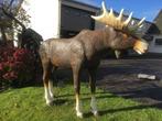 Eland Beeld - Groot en levensecht tuinbeeld Moose, Ophalen of Verzenden, Nieuw, Kunststof, Dierenbeeld