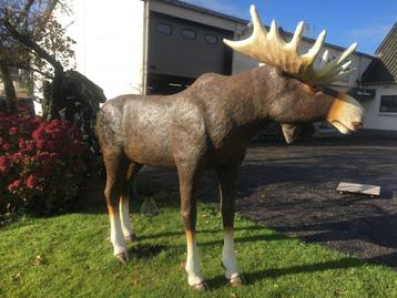 Eland Beeld - Groot en levensecht tuinbeeld Moose beschikbaar voor biedingen