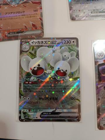 Maushold ex (sv4M 057) Future Flash beschikbaar voor biedingen