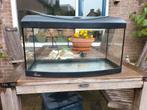 Diversa aquarium 50 liter (30x58x28 cm), Dieren en Toebehoren, Vissen | Aquaria en Toebehoren, Ophalen, Gebruikt, Leeg aquarium