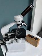 Microscoop Euromex, Ophalen of Verzenden