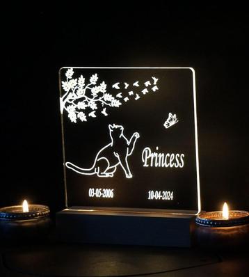 Gedenkplaat plexiglas met gravure | houten standaard met LED
