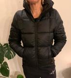 SOHO NEWYORK. Zwart winterjack maat, Kleding | Dames, Ophalen of Verzenden, Zo goed als nieuw, Zwart