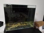 Blue marine reef 90 aquarium + ATO, Ophalen, Gebruikt, Leeg aquarium