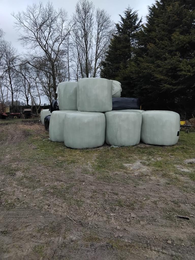 10 KUILROLLEN, Dieren en Toebehoren, Dierenvoeding, Ophalen of Verzenden, Vee