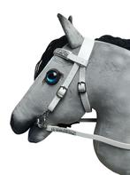 Showhoofdstel hobbyhorse, Ophalen of Verzenden, Nieuw