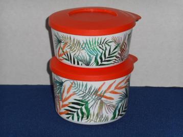 Tupperware Ilumina Kommen (2) Exotisch beschikbaar voor biedingen