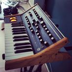 Moog Subsequent 25, Muziek en Instrumenten, Synthesizers, Overige aantallen, Zo goed als nieuw, Met koffer of flightcase, Ophalen