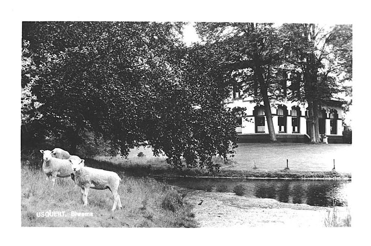 978693 Usquert Groningen 1976 Biwema Nette oude kaart, Verzamelen, Ansichtkaarten | Nederland, Ongelopen, Groningen, 1960 tot 1980