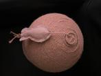 Katten krabbol met sisal touw, Dieren en Toebehoren, Ophalen, Gebruikt