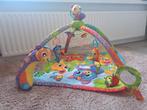 Playgro Babygym met Licht en Geluid, Ophalen, Gebruikt, Babygym, Met geluid