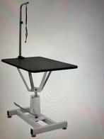 Hydraulische Trimtafel, Ophalen of Verzenden, Gebruikt