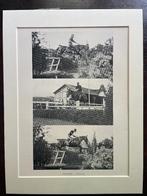 Paarden prent 1907 Concours Hippiques, Antiek en Kunst, Ophalen of Verzenden